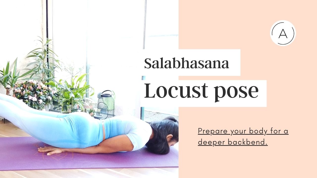 Locust Pose - Salabhasana - Locust Pose - Salabhasana